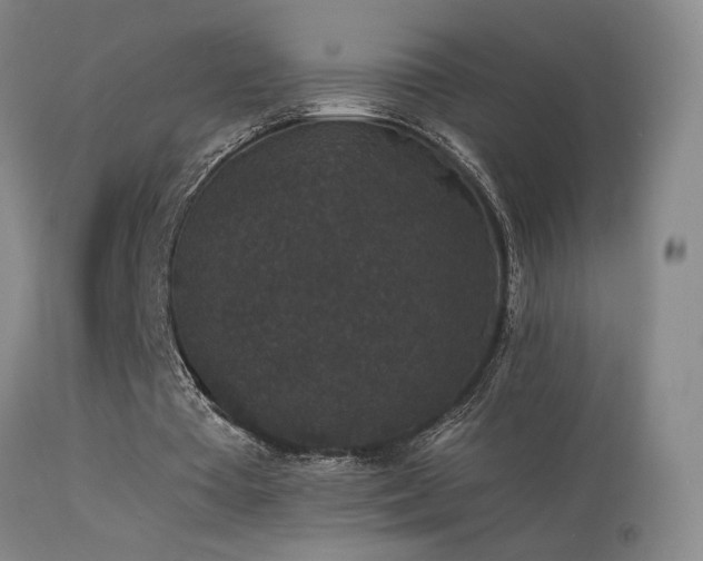 X0000113270385200909171718