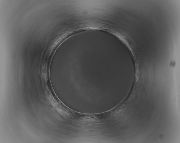 X0000113270386200909171718