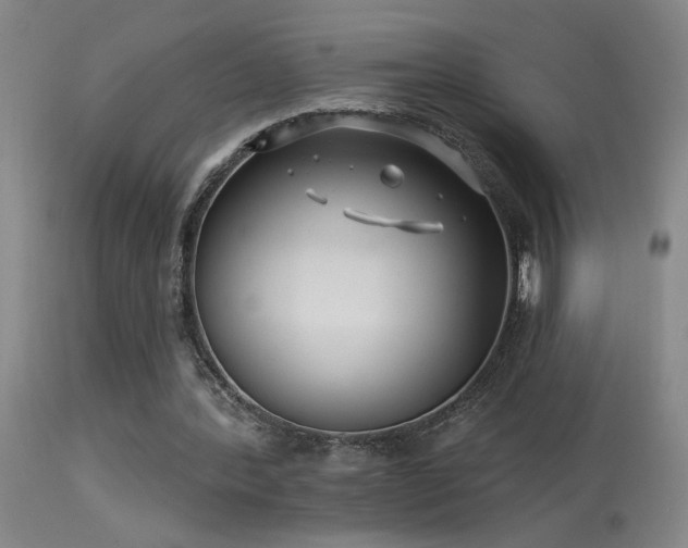 X0000113270388200909171718