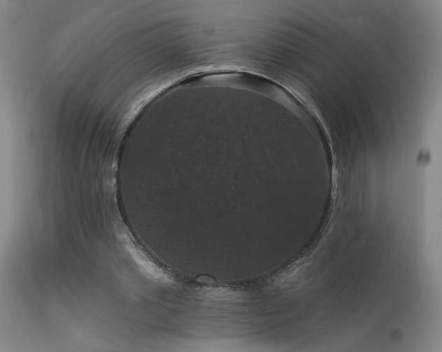 X0000113270389200909171718