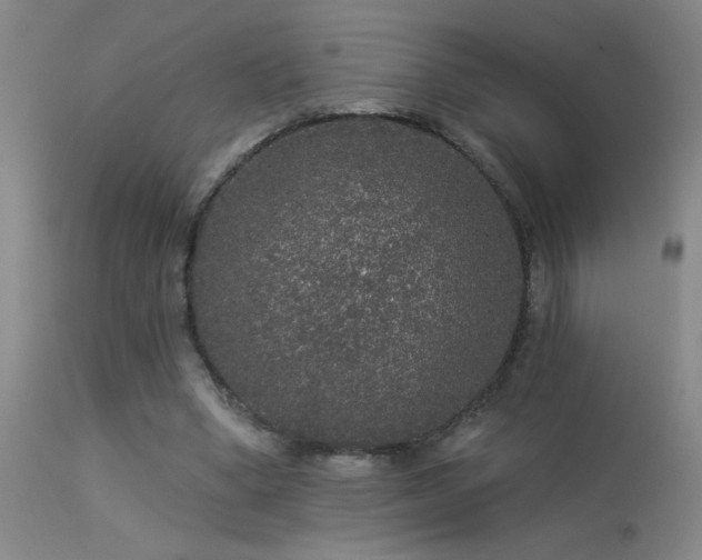 X0000113270394200909171718