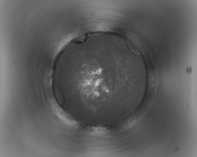 X0000113270395200909171718