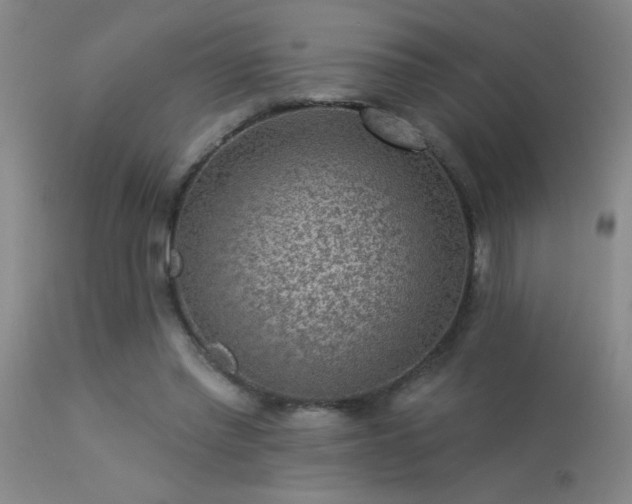 X0000113270397200909171718
