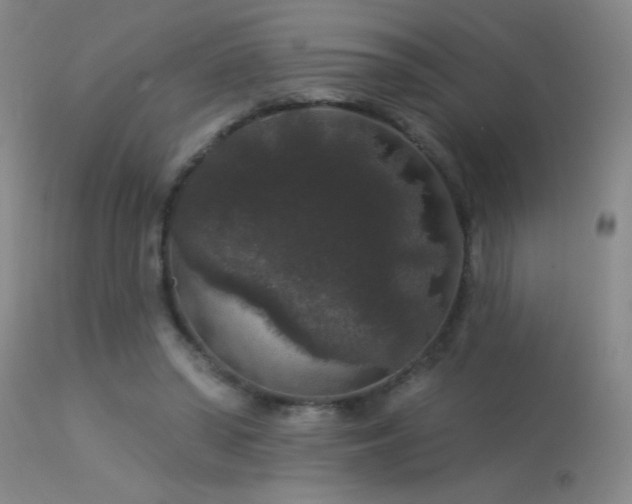 X0000113270398200909171718