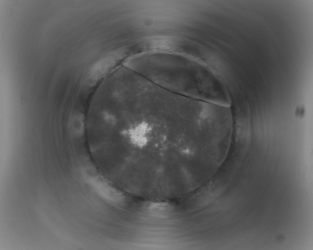 X0000113270401200909171718