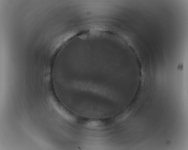X0000113270402200909171718