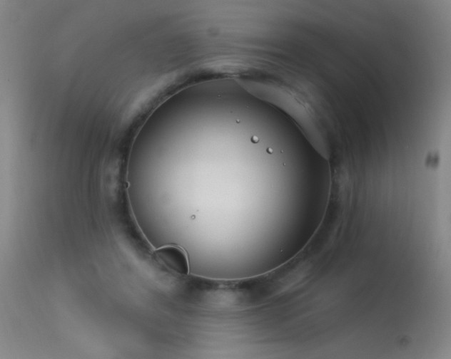 X0000113270404200909171718