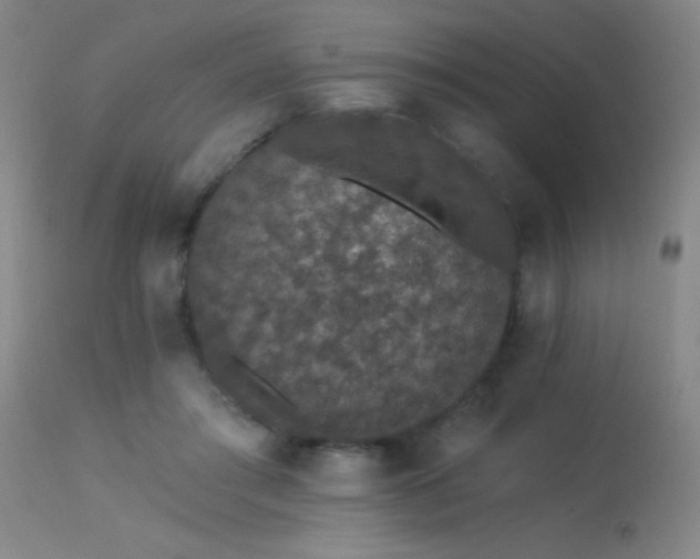 X0000113270405200909171718