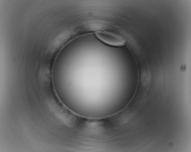 X0000113270407200909171718