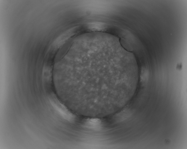 X0000113270409200909171718