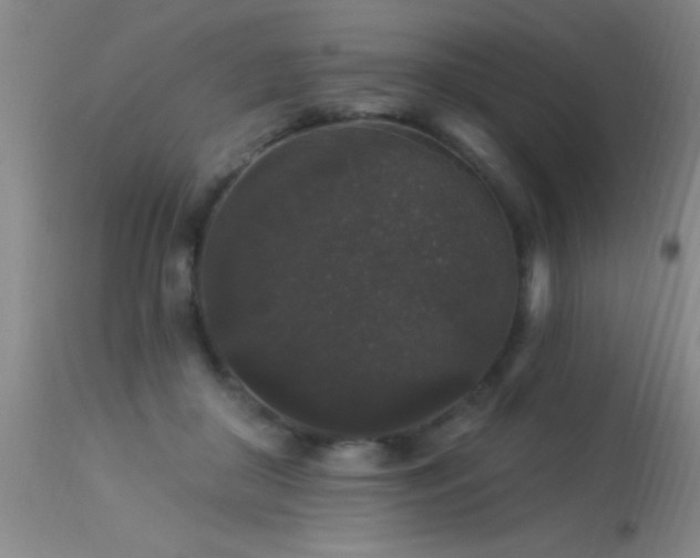X0000113270410200909171718