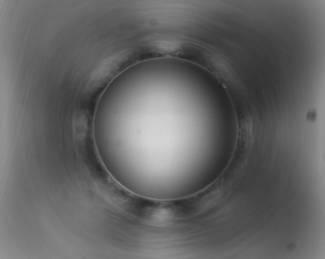 X0000113270412200909171718