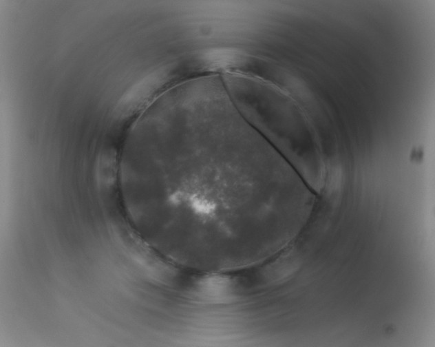X0000113270413200909171718