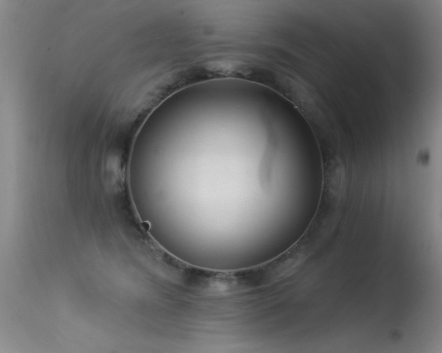 X0000113270420200909171718