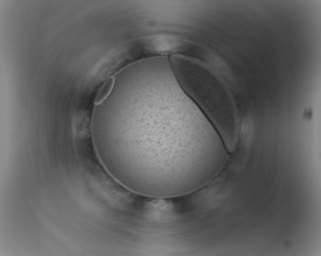 X0000113270421200909171718