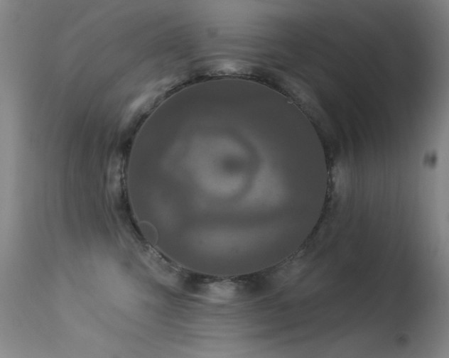 X0000113270423200909171718