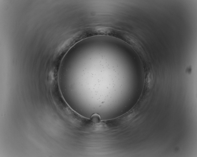 X0000113270424200909171718