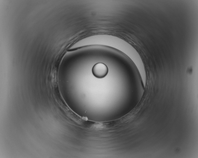 X0000113270425200909171718