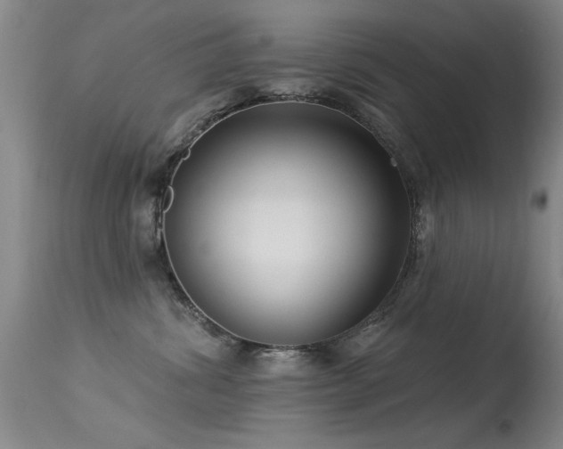 X0000113270428200909171718