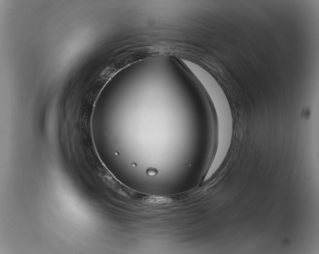 X0000113270429200909171718