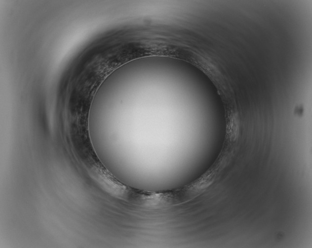 X0000113270430200909171718