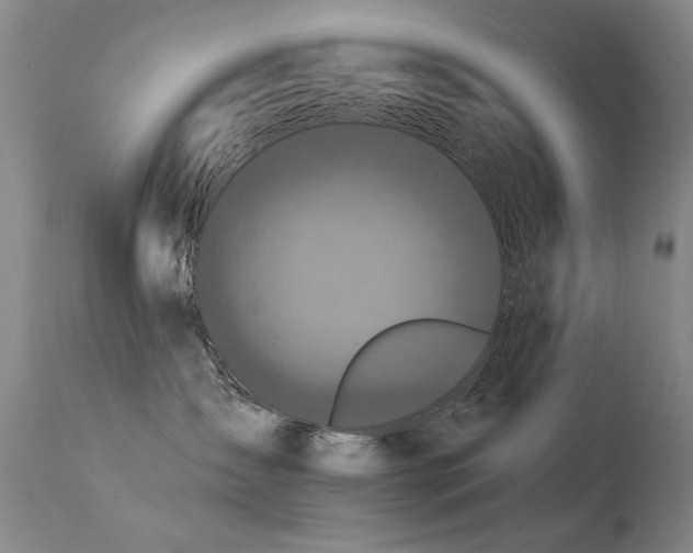 X0000113270431200909171718