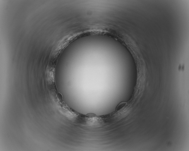 X0000113270432200909171718
