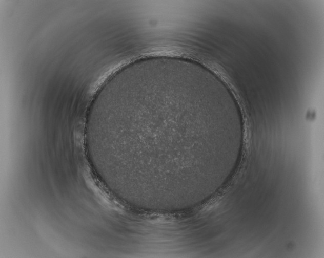 X0000113270434200909171717