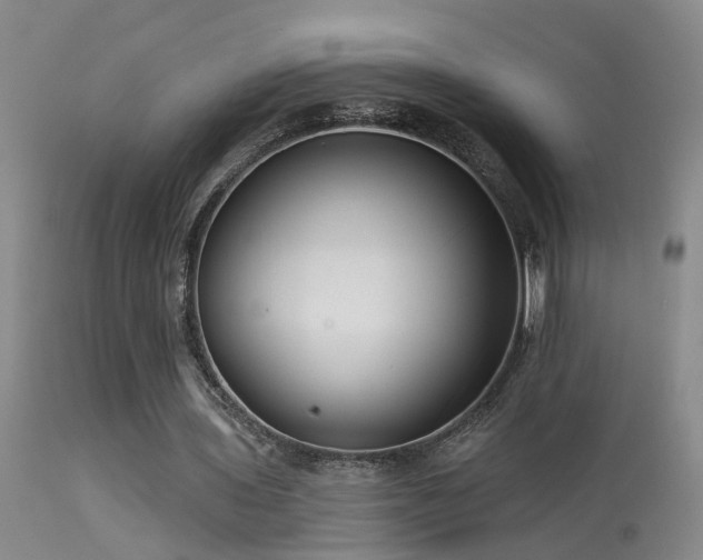 X0000113270435200909171717
