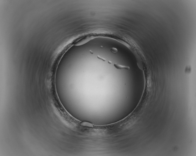 X0000113270436200909171717