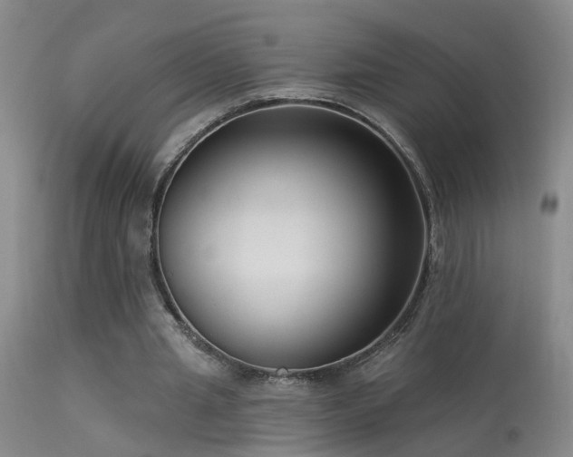 X0000113270437200909171717
