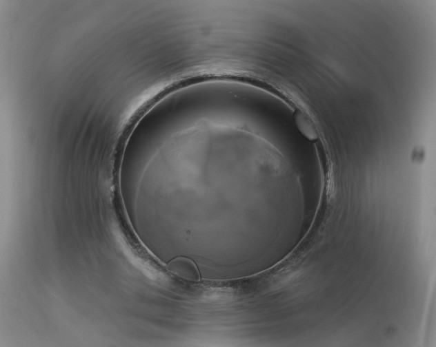 X0000113270438200909171717
