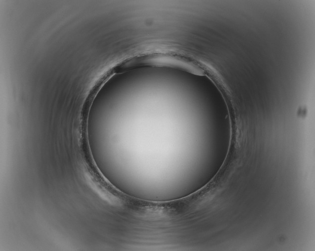 X0000113270439200909171717
