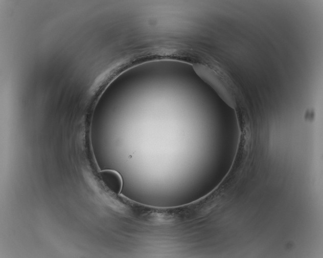 X0000113270442200909171717