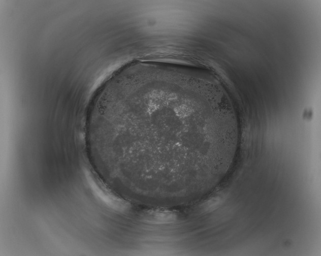 X0000113270443200909171717