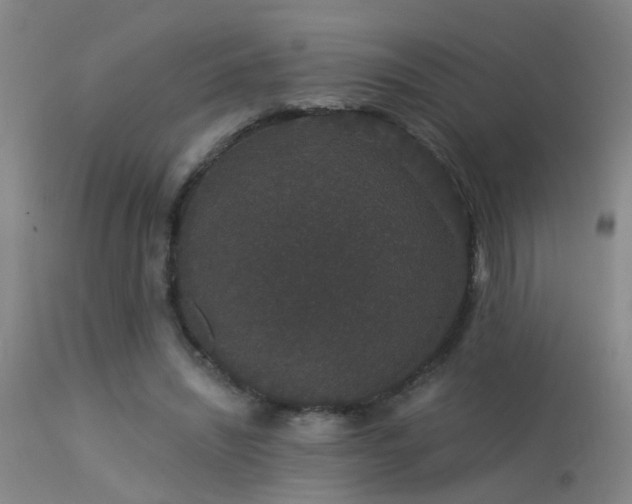 X0000113270444200909171717