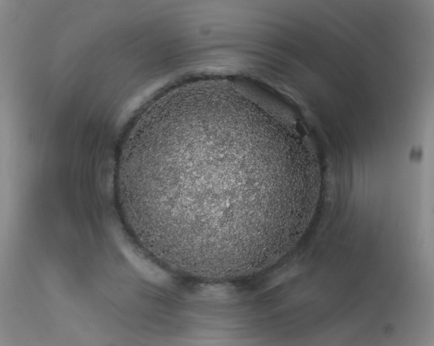 X0000113270446200909171717