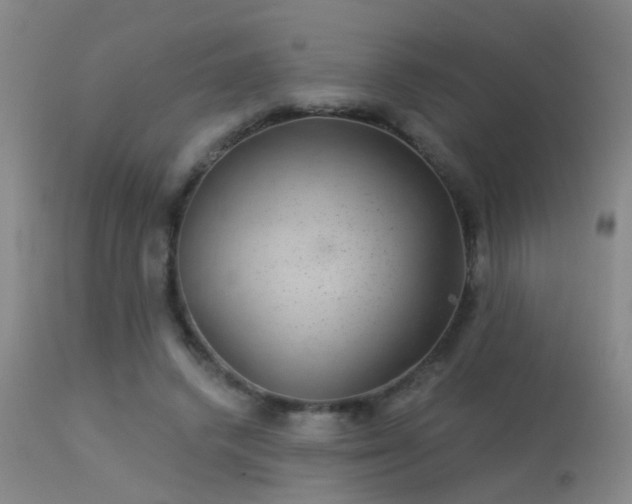 X0000113270448200909171717