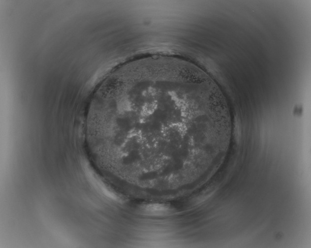 X0000113270449200909171717