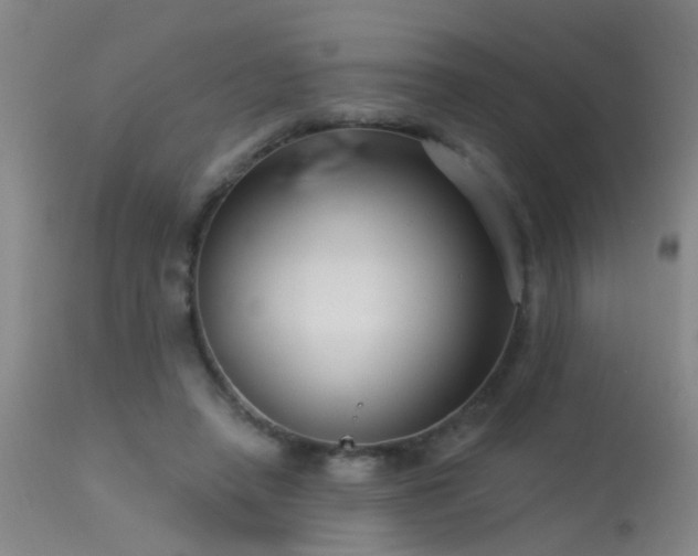 X0000113270450200909171717