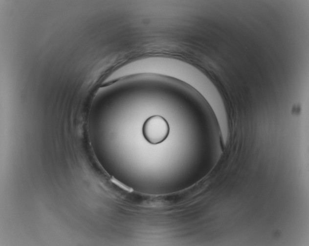 X0000113270452200909171717