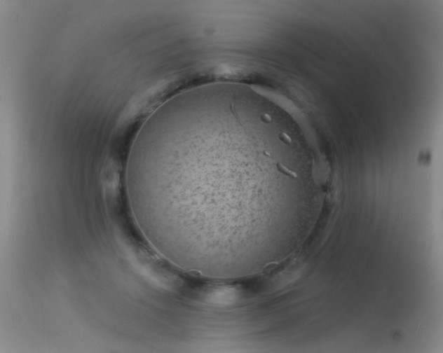 X0000113270456200909171717