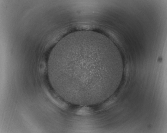 X0000113270459200909171717