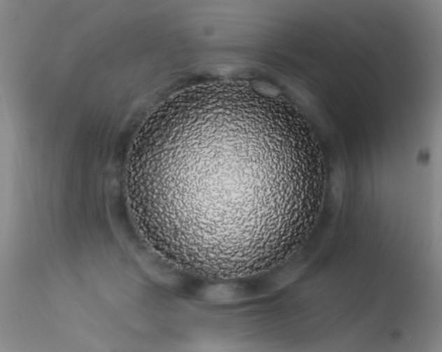 X0000113270461200909171717