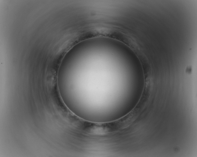 X0000113270464200909171717