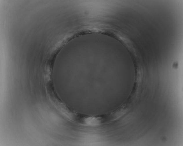 X0000113270465200909171717
