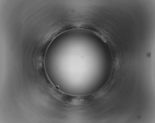 X0000113270470200909171718