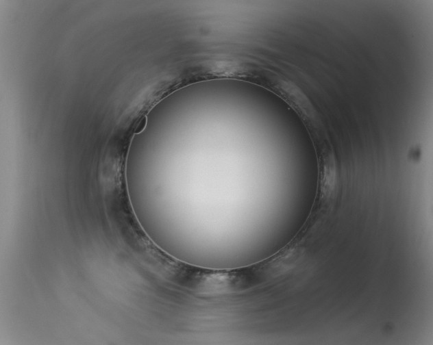 X0000113270473200909171718