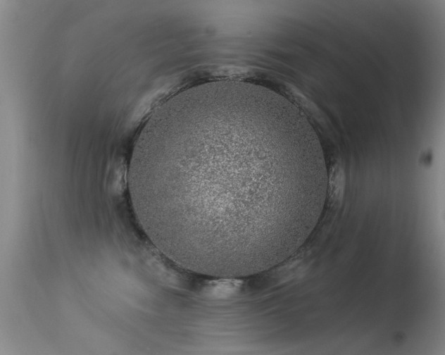 X0000113270474200909171718