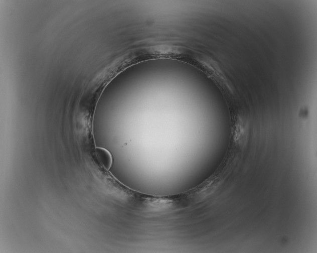 X0000113270476200909171718